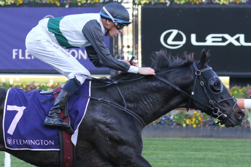 BIOMETRIC 0V9A0767 | Just Horse Racing