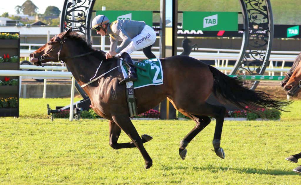 Baller | Just Horse Racing