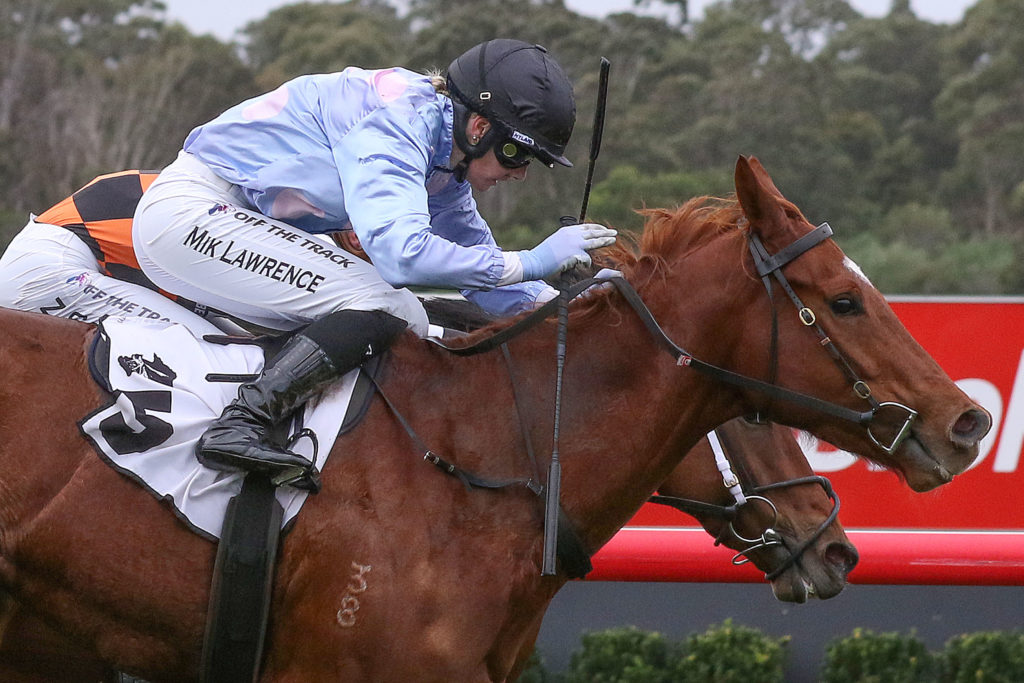 Bigolino_11-06-2022_WIN_Sandown_4__442 | Just Horse Racing