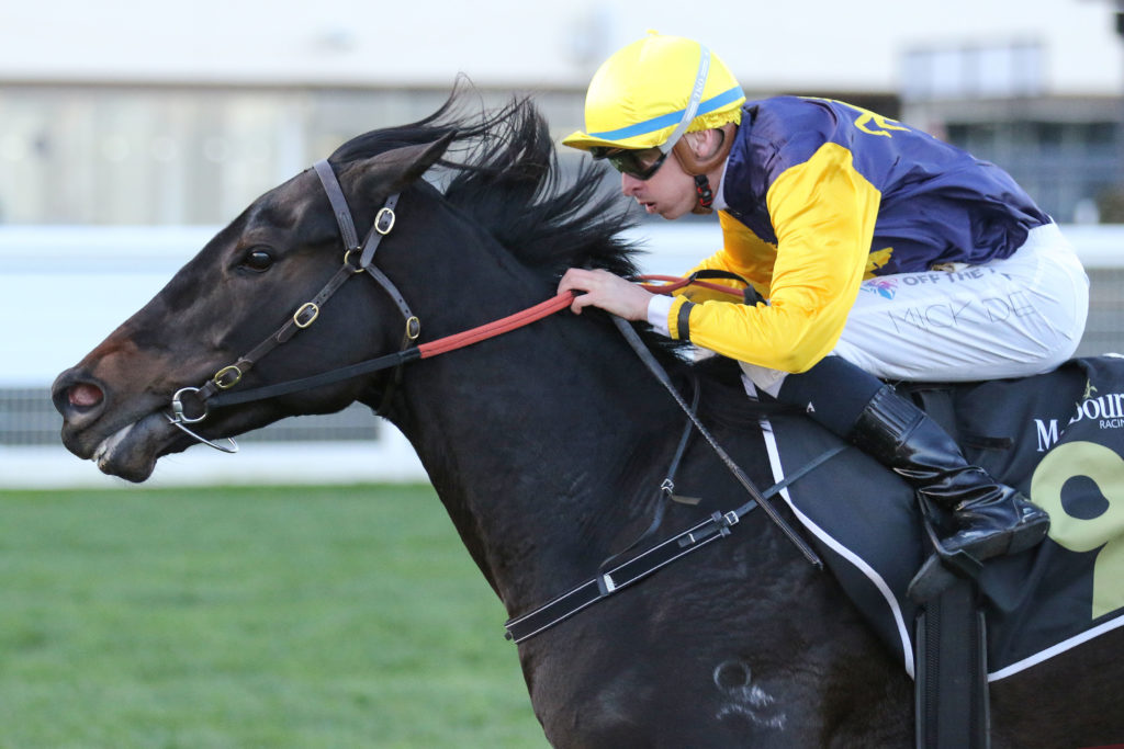 Cardinal Gem_25-06-2022_WIN_Caulfield_8__1330 | Just Horse Racing