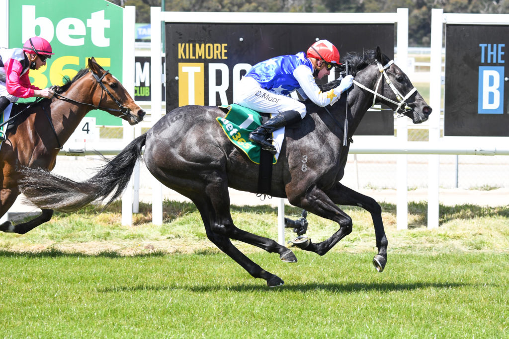 /r1/ | Just Horse Racing