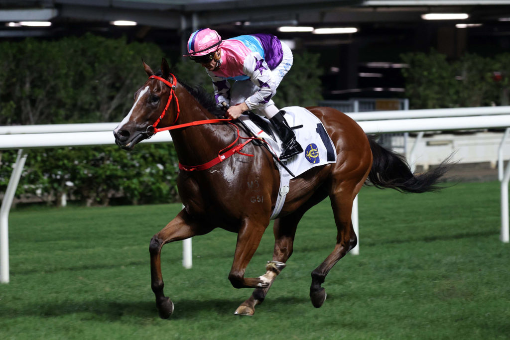 Gorgeous Vitality Zac Purton. | Just Horse Racing