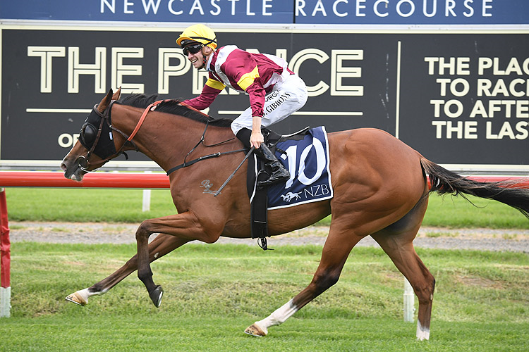 Dancer out to get her groove back | Just Horse Racing