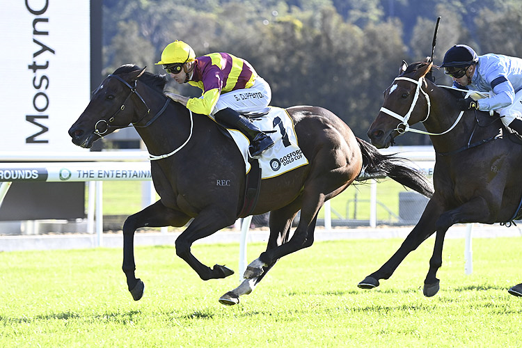 Numerian leads throughout in Q22 | Just Horse Racing