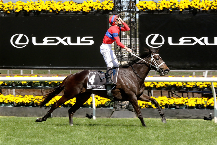 Strong edition of the 2021 Melbourne Cup | Just Horse Racing