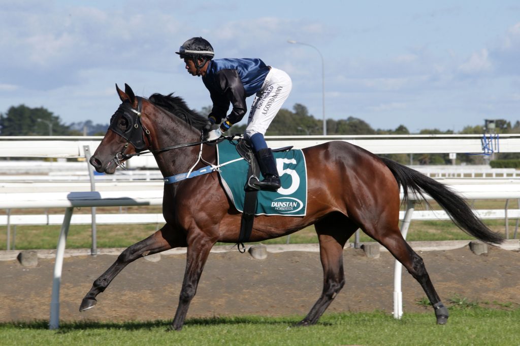 Il Affare | Just Horse Racing