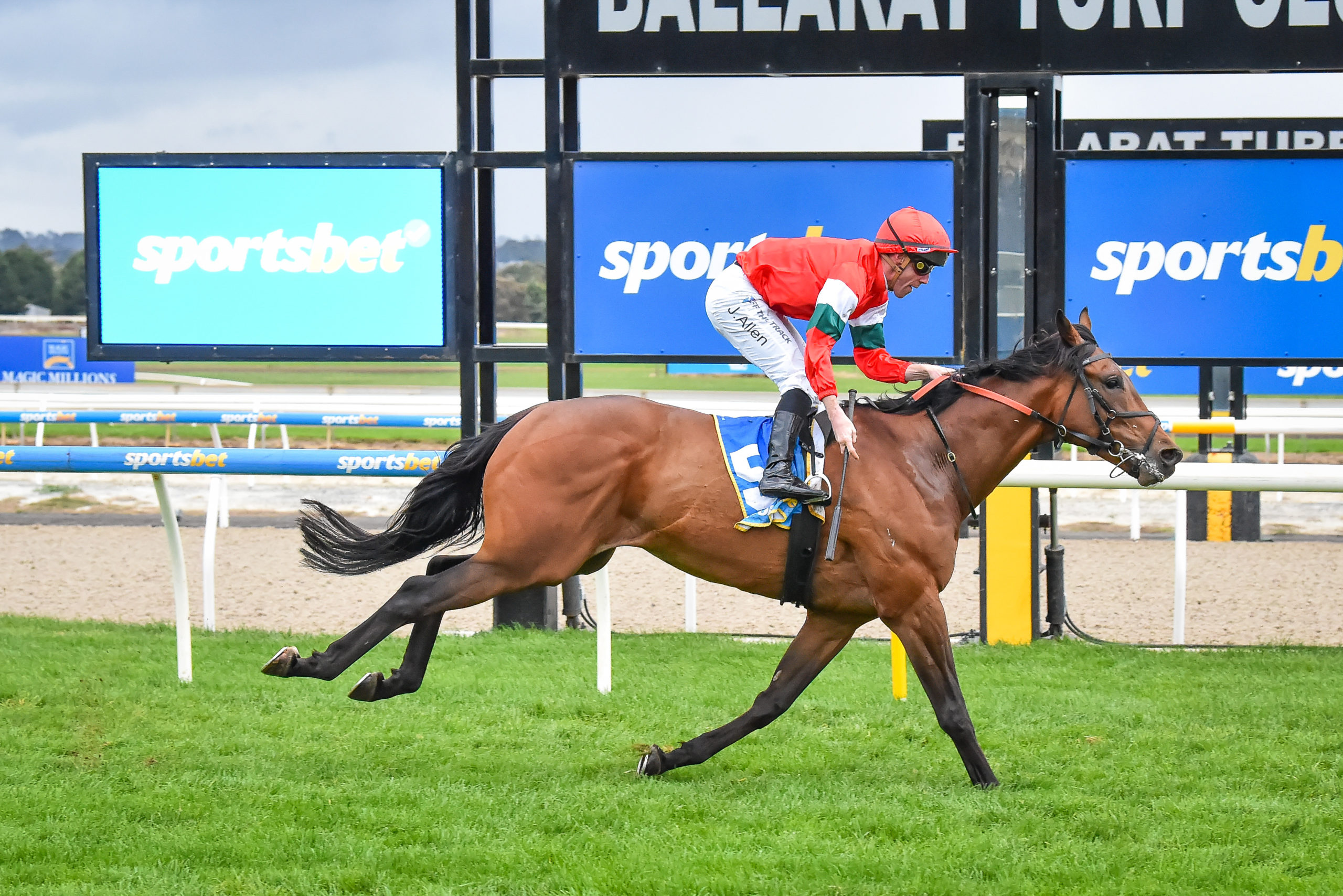 Maboneng Racing Monbaher working back to fitness | Just Horse Racing