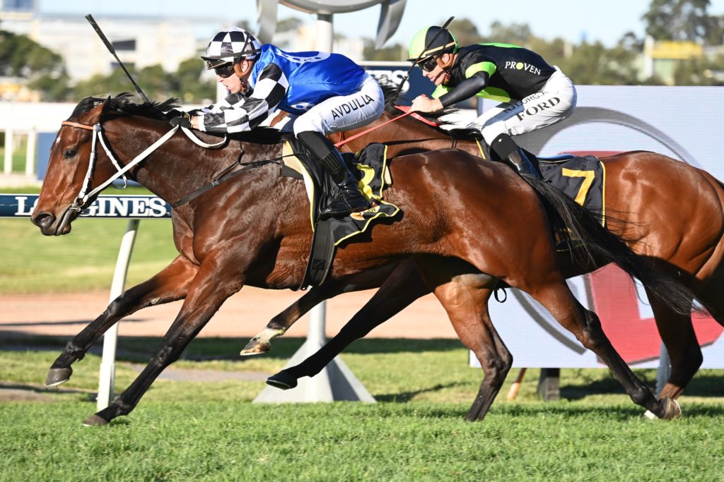 Per Inaway 040622 8987 | Just Horse Racing