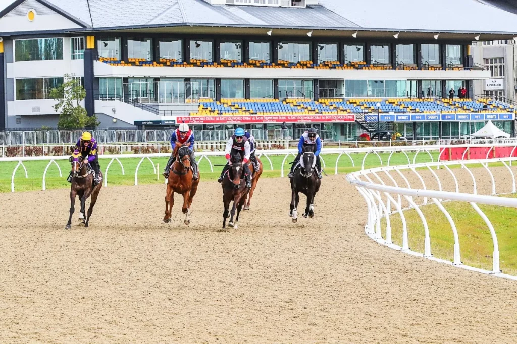 7/8/2024 Horse Racing Tips and Best Bets – Riccarton Park
