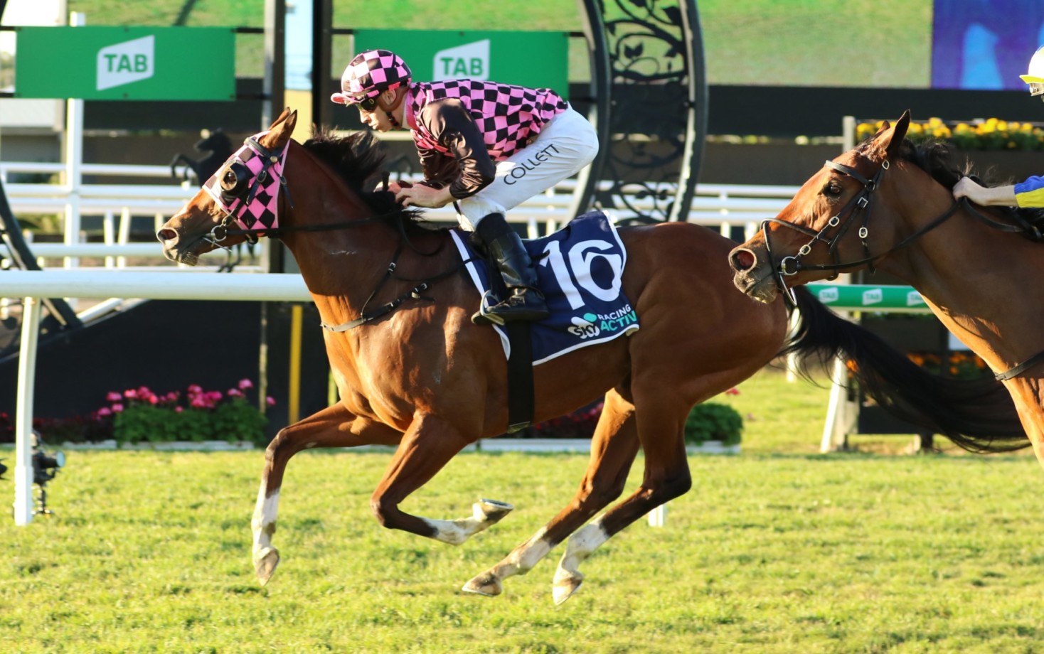 Group 1 winner a Star at Magic Millions | Just Horse Racing