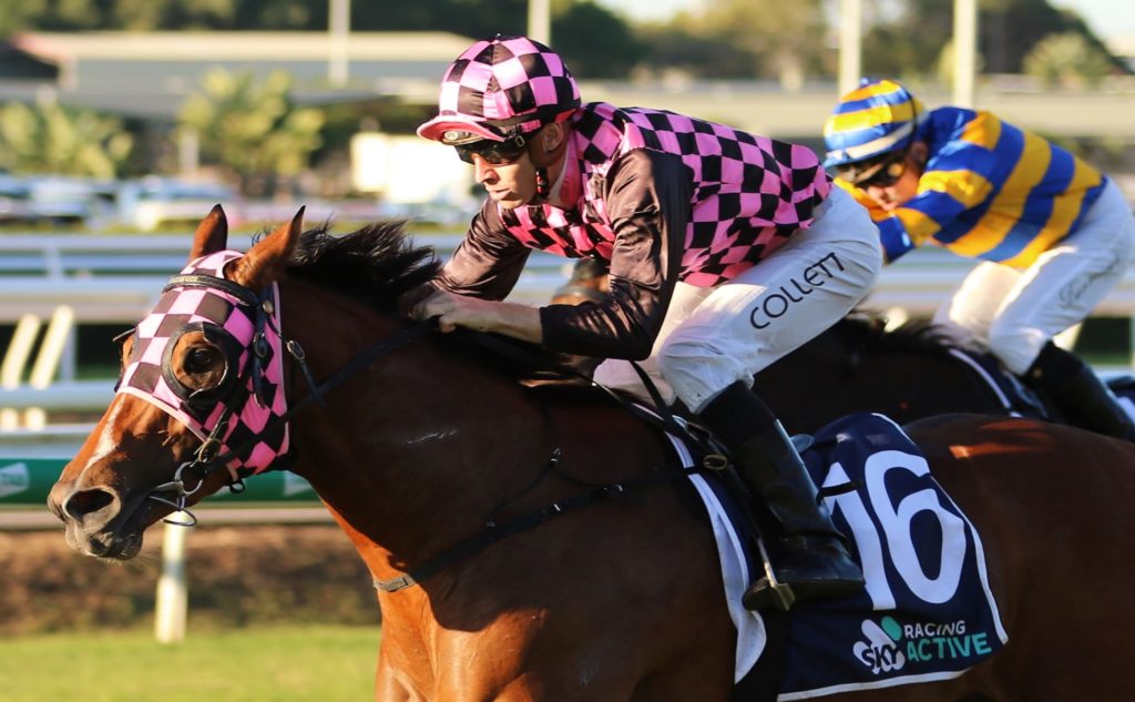 Startantes3 | Just Horse Racing