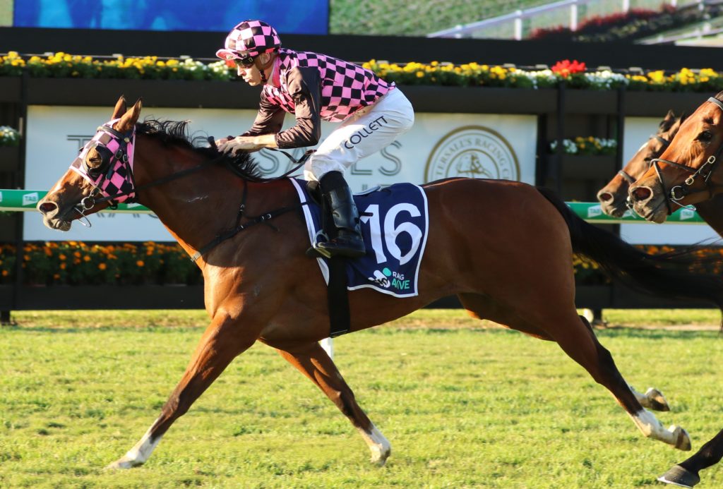 Startantes4 | Just Horse Racing