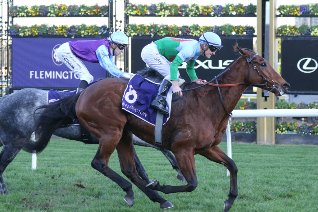 TUVALU 0V9A1011 | Just Horse Racing