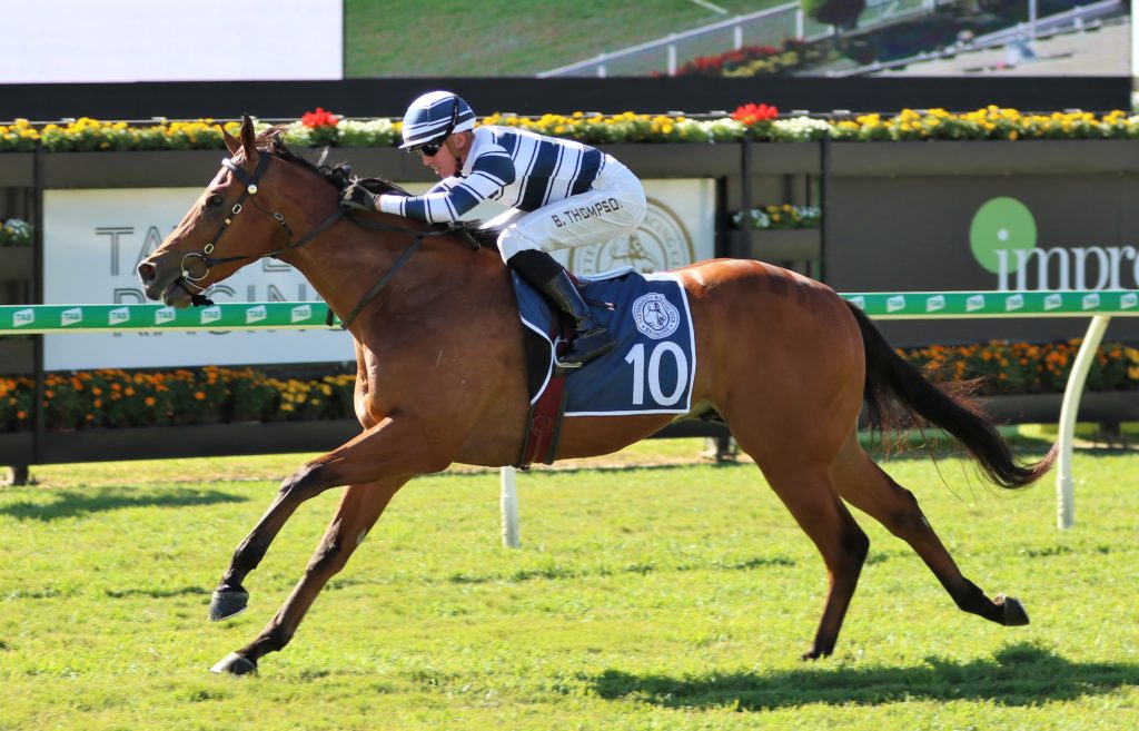 Uncommon James | Just Horse Racing