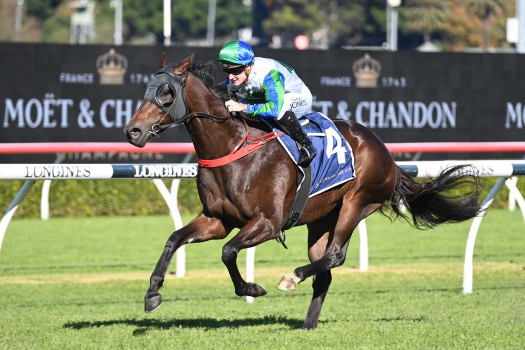 Waihaha Falls 11062022 9758 | Just Horse Racing