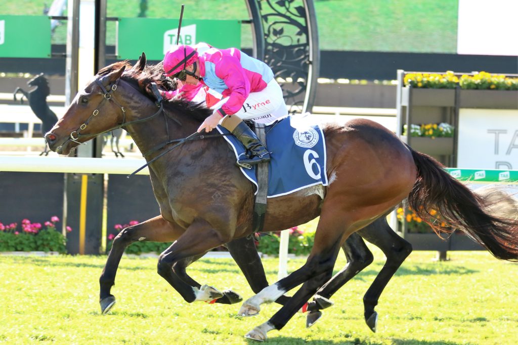 Whitewater2 | Just Horse Racing