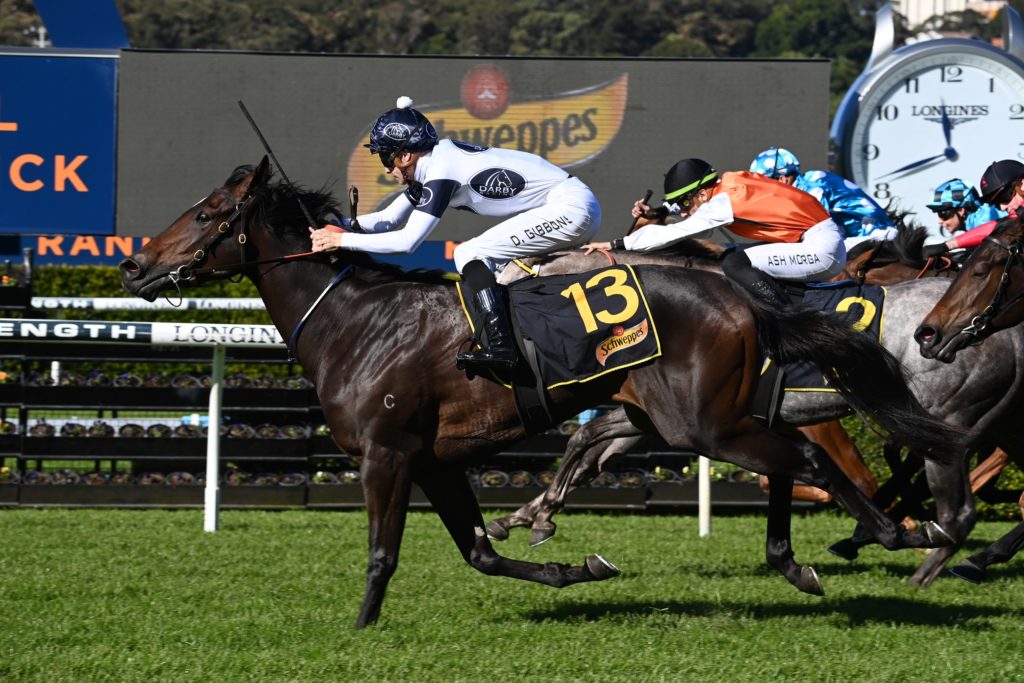 Wingardium 11062022 9614 | Just Horse Racing