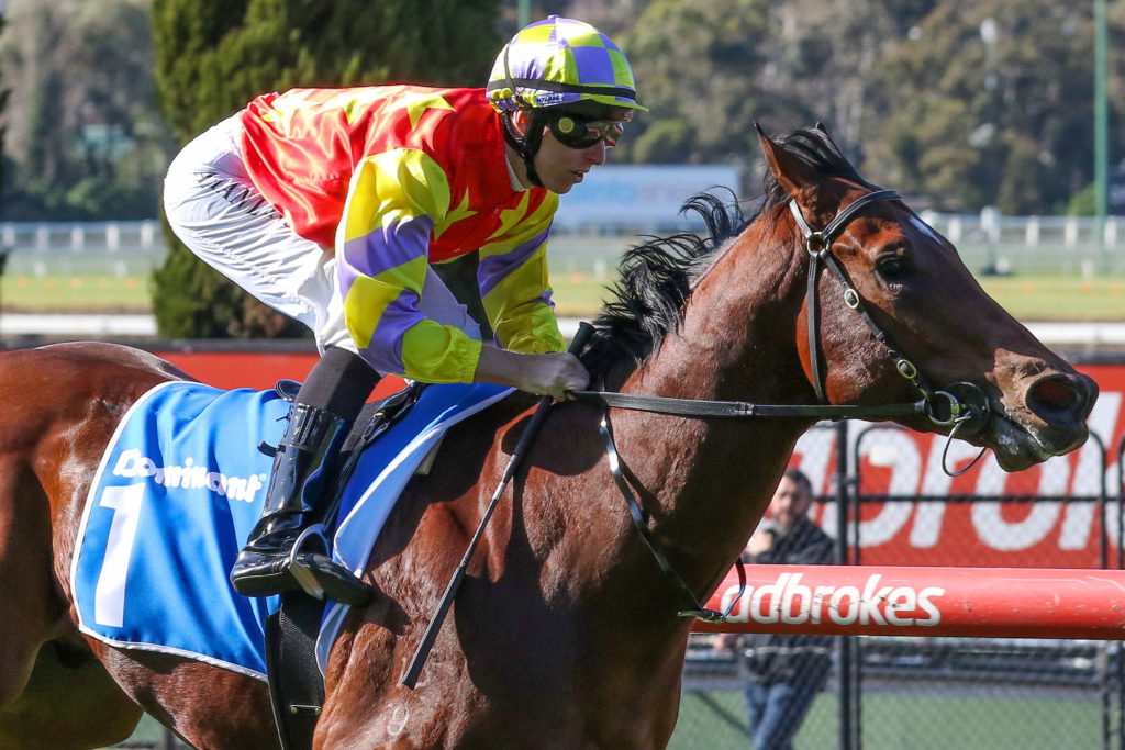 Alpha One_30-07-2022_WIN_Moonee Valley_2__179 | Just Horse Racing