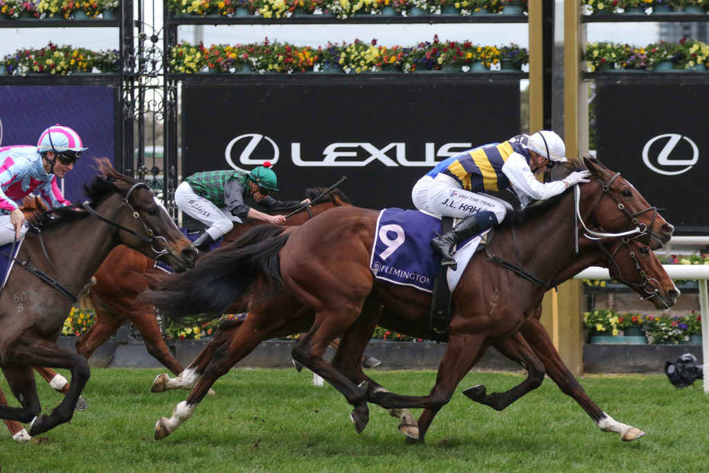 Hezashocka_16-07-2022_WIN_Flemington_7__1202 | Just Horse Racing