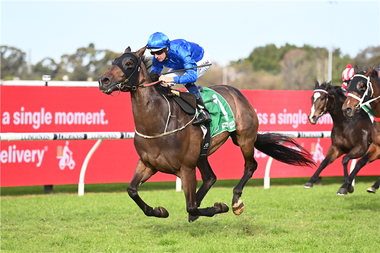 Big boy Alcyone returns in fine fashion at Rosehill | Just Horse Racing