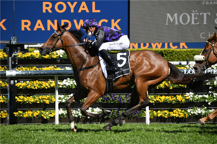 Newnham unveils Big spring ambitions | Just Horse Racing