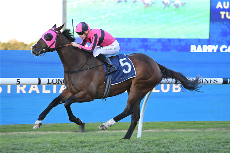 Power adds weight to trainer’s Rosehill squad | Just Horse Racing