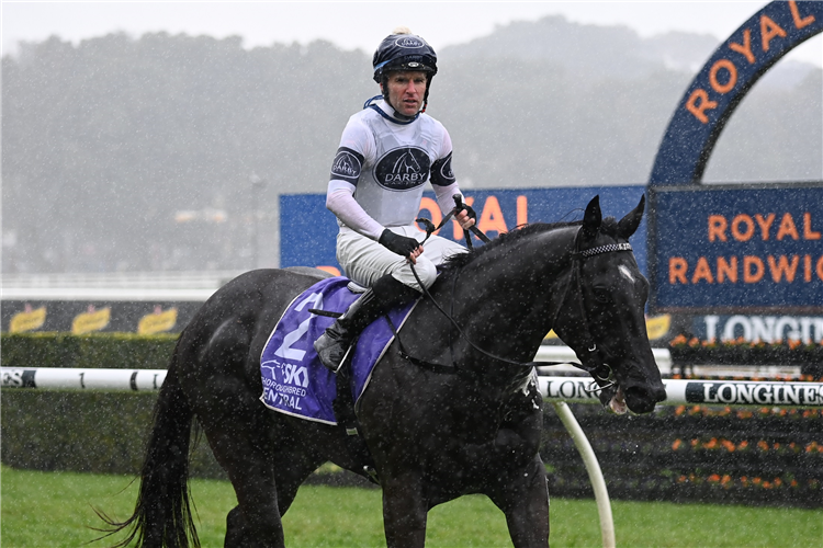 Challenge rescheduled as Randwick washed out | Just Horse Racing