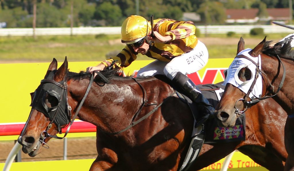 Kokoro3 | Just Horse Racing