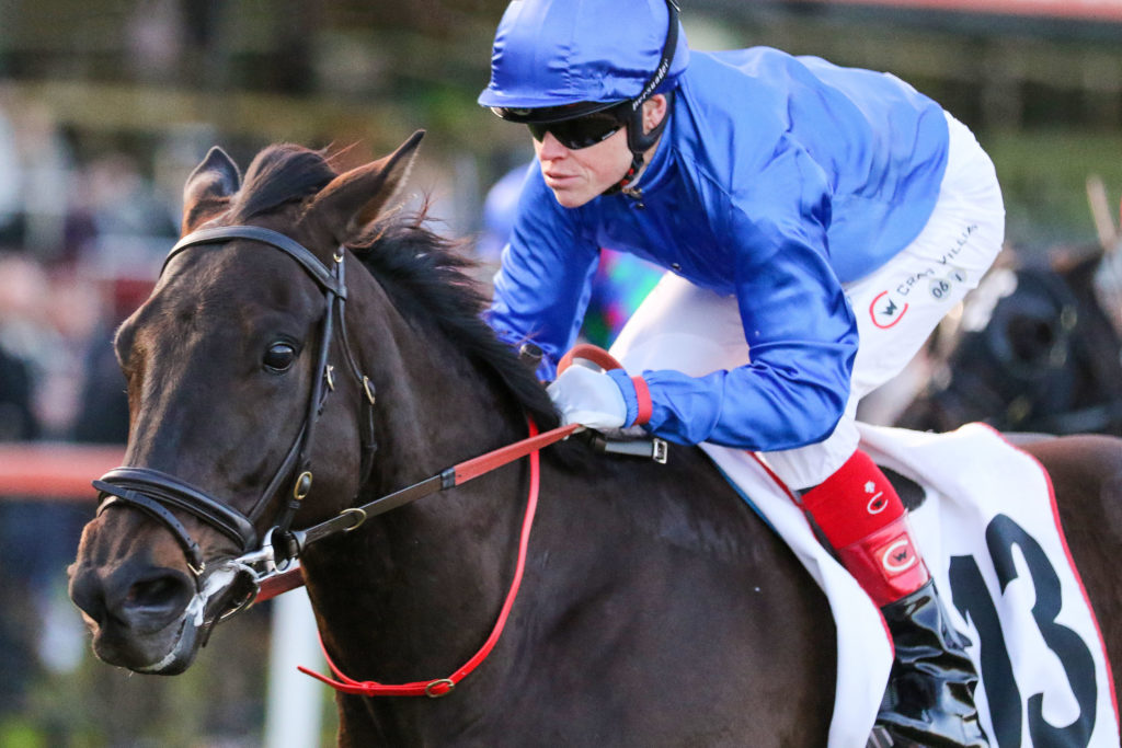 Lackeen_30-07-2022_WIN_Moonee Valley_8__1176 | Just Horse Racing