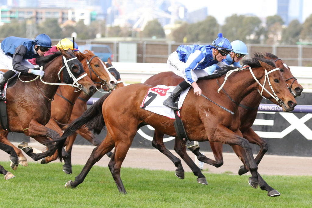 Megamea_02-07-2022_WIN_Flemington_1__40 | Just Horse Racing