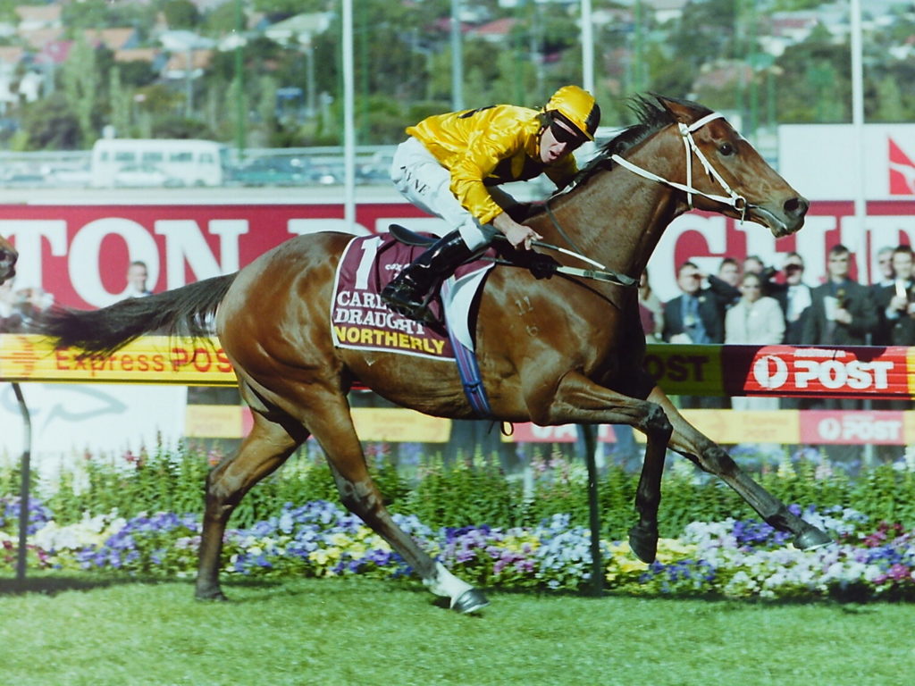 Northerly | Just Horse Racing