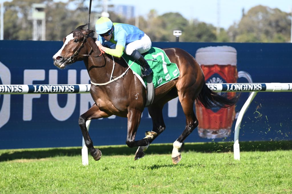 Shades Of Rose 28072022 2722 | Just Horse Racing
