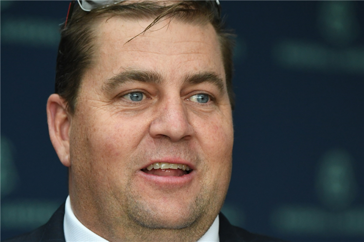 Rocketing By set for Rosehill return | Just Horse Racing