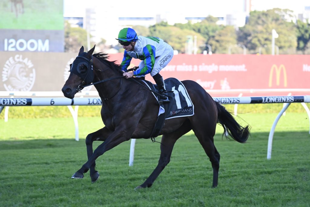 Waihaha Falls 09072022 6585 | Just Horse Racing