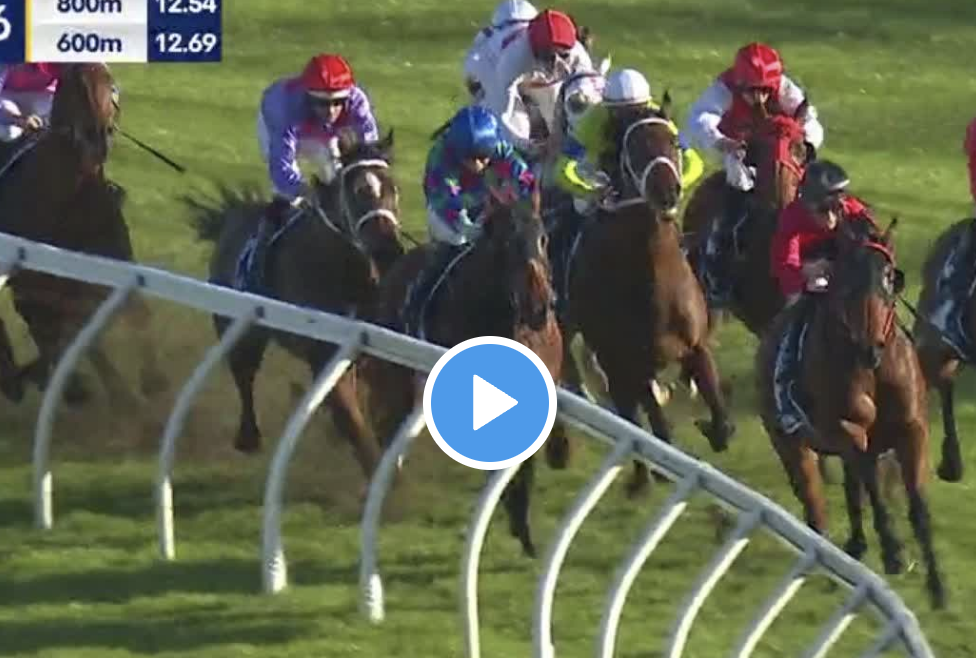 Winter Stakes results and replay – 2022 - Vimarsana News