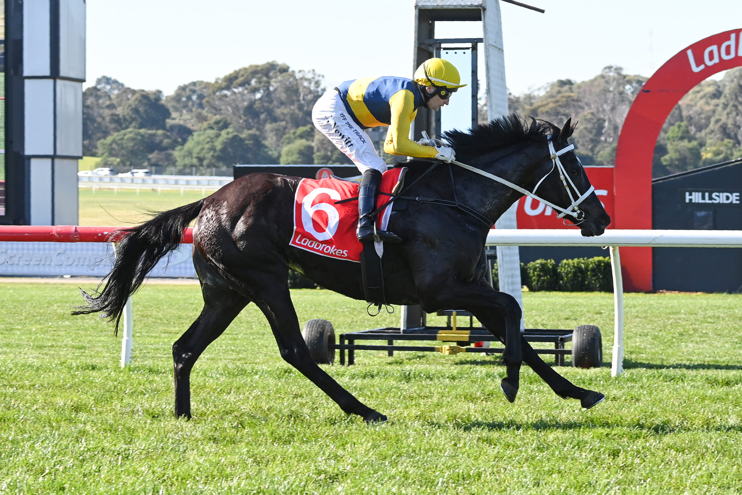 Stablemates chase Thousand Guineas Prelude - Vimarsana News