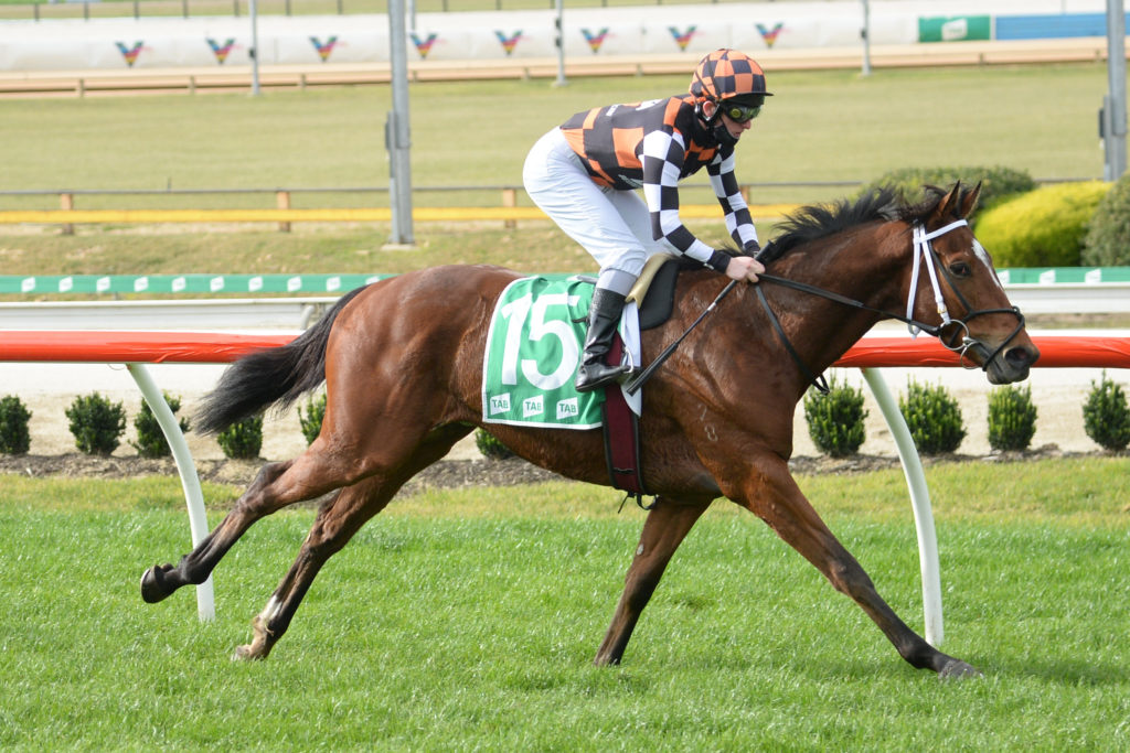 /r5/ | Just Horse Racing