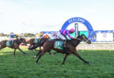 Geelong Races