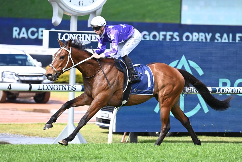 Born A King 27082022 9360 | Just Horse Racing