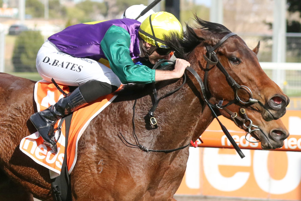 Bound For Home,Quezette Stakes,Group 3_13-08-2022_WIN_Caulfield_6__891 | Just Horse Racing