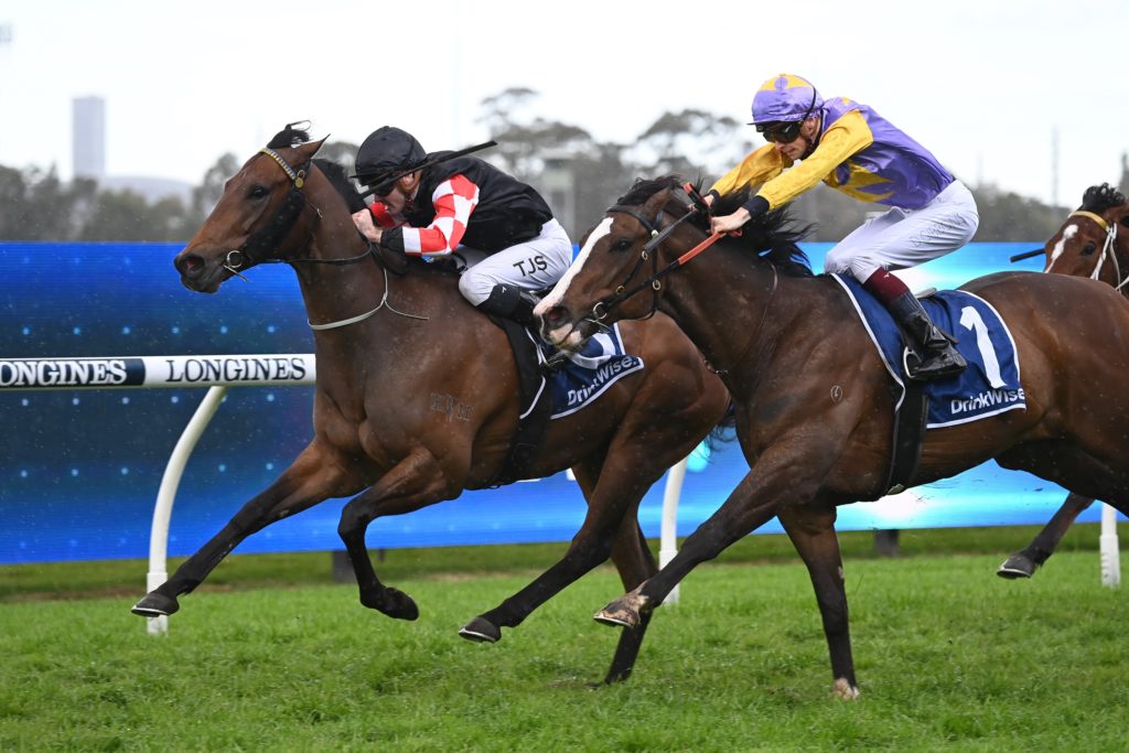 Conscript 13082022 4833 | Just Horse Racing