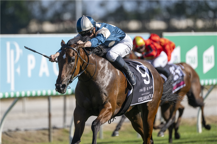 Kah gets feel for Coolangatta | Just Horse Racing