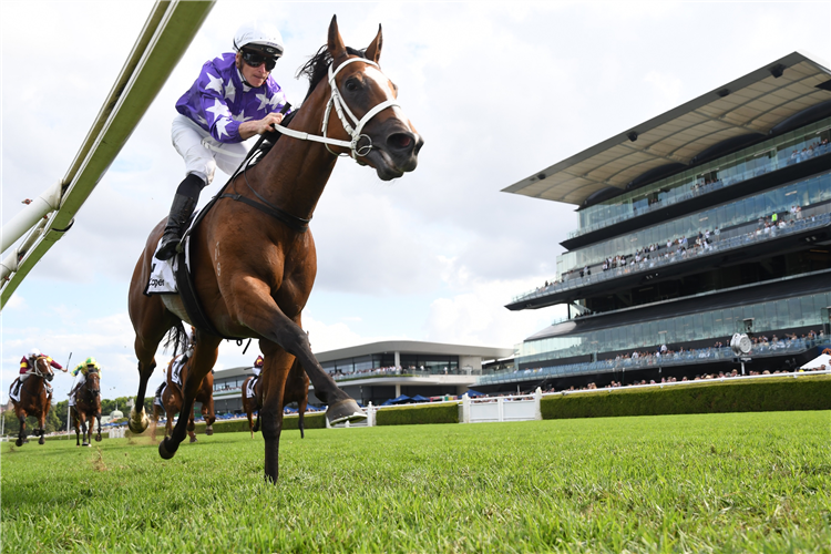 Espiona to be kept to sprints | Just Horse Racing