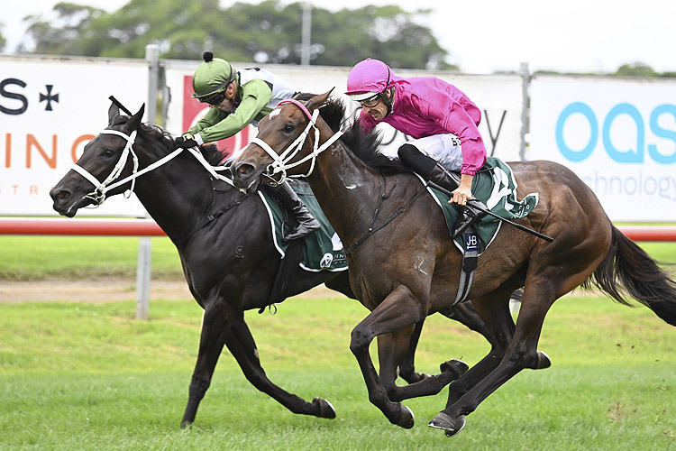 Fanfare surrounds return of Waller mare | Just Horse Racing