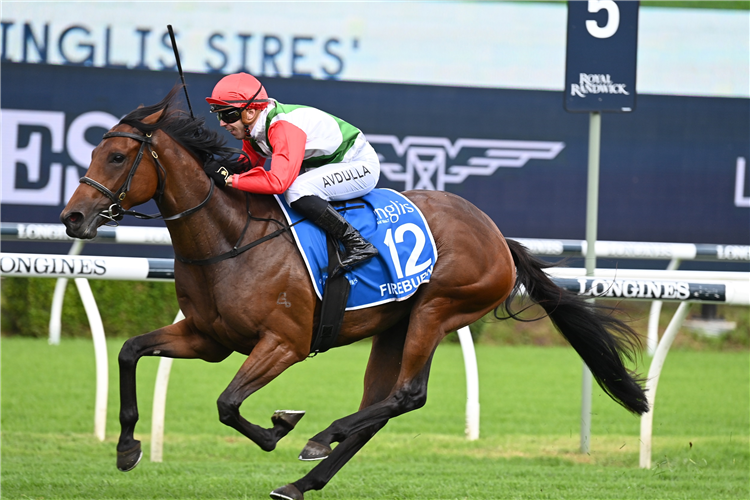 Fireburn on-track for Run To The Rose | Just Horse Racing