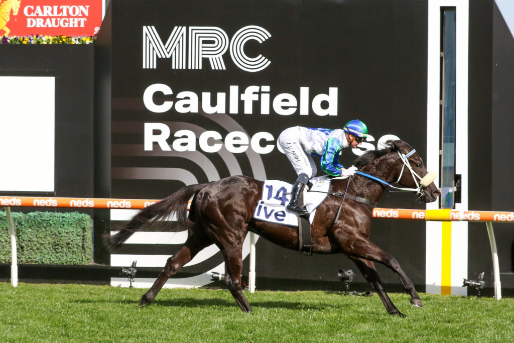 I Wish I Win_27-08-2022_WIN_Caulfield_4__514 | Just Horse Racing
