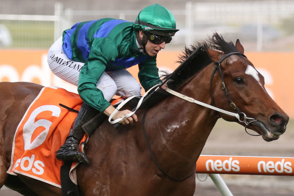 Jacquinot,HDF McNeil Stakes,Group 3_27-08-2022_WIN_Caulfield_5__615 | Just Horse Racing