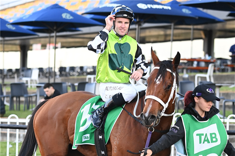 Consistency a focus for refreshed Berry | Just Horse Racing