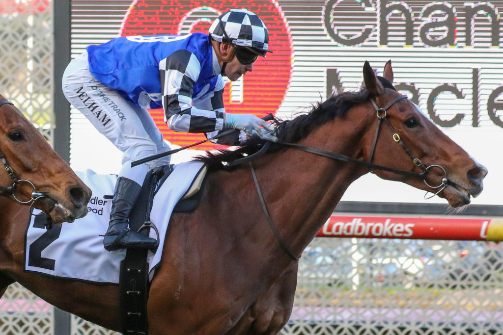 Mankayan_20-08-2022_WIN_Moonee Valley_7__1312 | Just Horse Racing