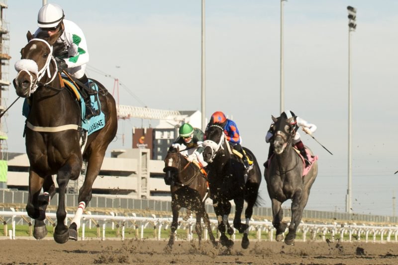 Moira | Just Horse Racing